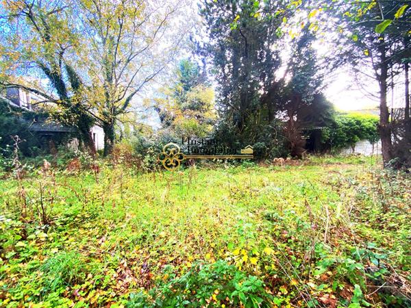 Parcelle boisée en ZAC avec bâtiment à reconstruire intégralement.