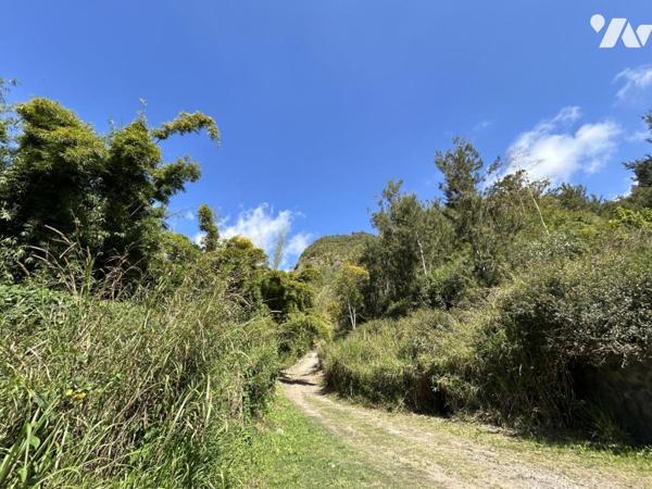 Terrain à bâtir au pied du Piton Maillot