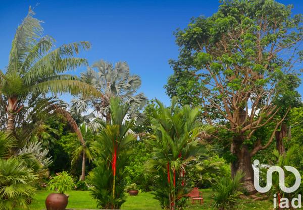 Maison à vendre 5 pièces 272 m² Le Lamentin