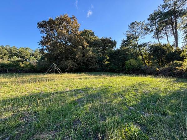 Terrain à vendre de 800,00 m² SOUSTONS (40)