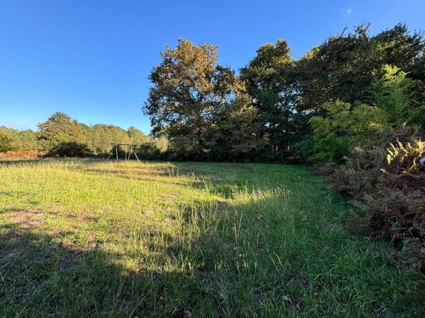 Terrain à vendre de 800,00 m² SOUSTONS (40)