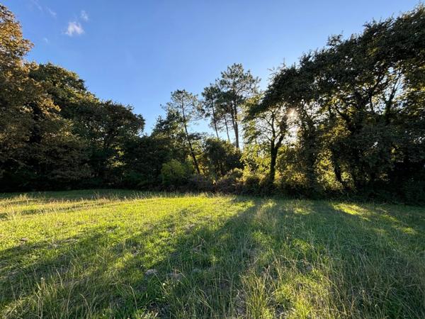 Terrain à vendre de 800,00 m² SOUSTONS (40)