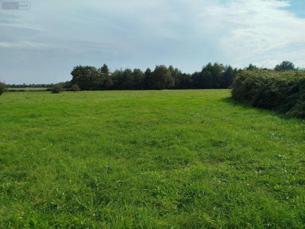 Maison à restaurer à vendre à Allonnes dans la Sarthe (72700), ref : PB-1714