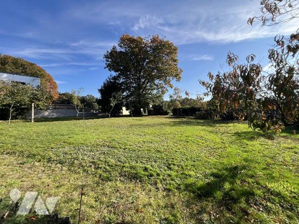 terrain constructible