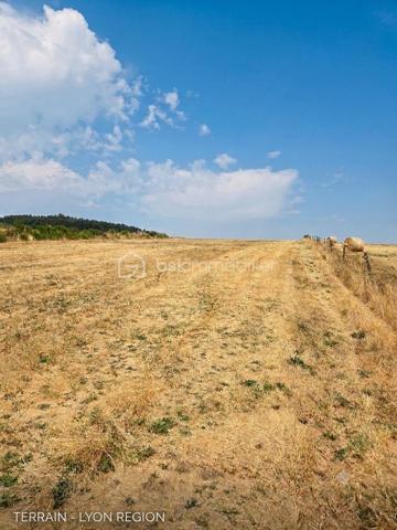 Au cœur du hameau préservé de La Veysseyre, à quelques minutes du centre de Saugues et à 30 km de l'A75, ce corps de ferme en pierre offre un cadre naturel privilégié, idéal pour les amoureux de la nature, de tranquillité et de grands espaces.
L'ensemble s'étend sur une parcelle de 543 m² avec un terrain attenant de 2 520 m² à l'arrière des bâtisses. La structure globale est saine (bâtiments en très bon état, toiture refaite, menuiseries PVC double vitrage), constituant une excellente base. Des travaux de rafraîchissement et de réagencement sont à prévoir afin de révéler tout le potentiel de ce bien rare sur le marché.
Agencement & Volumes
Partie habitable (Rez-de-jardin) : Une cuisine authentique, une salle d'eau, un WC indépendant, une cave, ainsi qu'un accès direct à l'ancienne étable.
Étage : Une première chambre de 11 m² et une seconde de 22 m² équipée d'un placard intégré.
Combles : Aménageables pour créer des espaces de couchage supplémentaires.
Dépendances & Potentiel
Ancienne étable : 136 m² au sol, offrant de beaux volumes directement reliés au logement.
Grange : Une superficie de 120 m² ouvrant de nombreuses possibilités d'aménagement (atelier, extension, espace de réception).
Petite maison indépendante : Ancien atelier avec son potager, parfait pour la création d'un gîte, d'un studio d'invités ou d'un espace de travail.
Une propriété de caractère idéale pour un projet de rénovation sur mesure, une grande demeure familiale ou une activité touristique.
Pour tout renseignement complémentaire ou pour organiser une visite, contactez-moi.