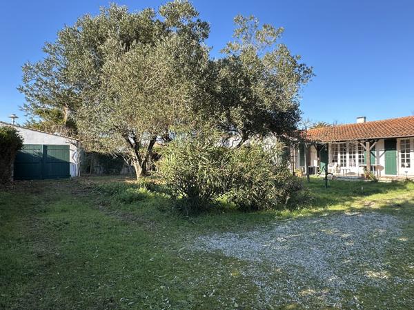 Maison Loix sur très beau terrain