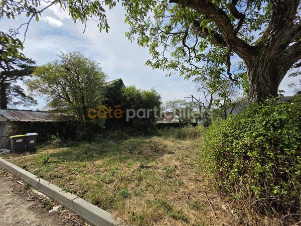 Vente
                Maison135 m² - SAINT CYR SUR LOIRE (37540)