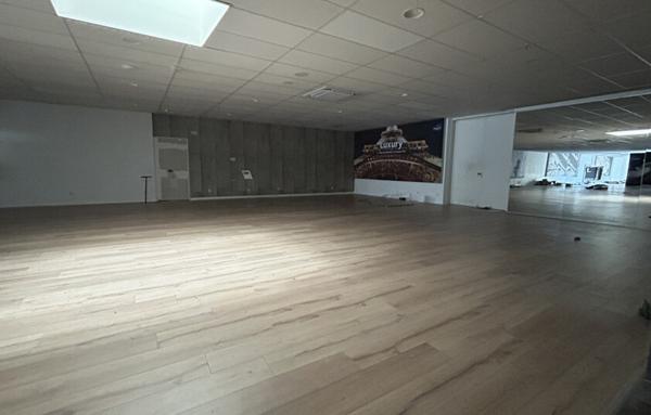 Local D'activité de 541 m²