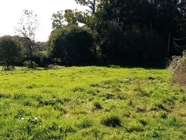 Dpt Seine Maritime (76), à vendre CANY-BARVILLE terrain à bâtir