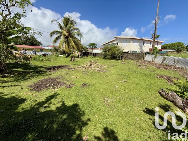 Terrain à vendre 405 m² Basse-Pointe