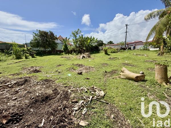 Terrain à vendre 405 m² Basse-Pointe