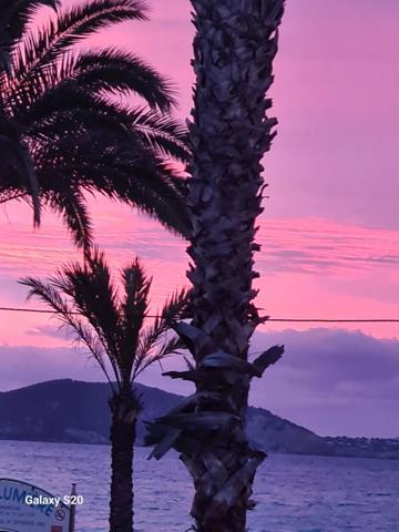 APPARTEMENT FRONT DE MER T3 LA CIOTAT