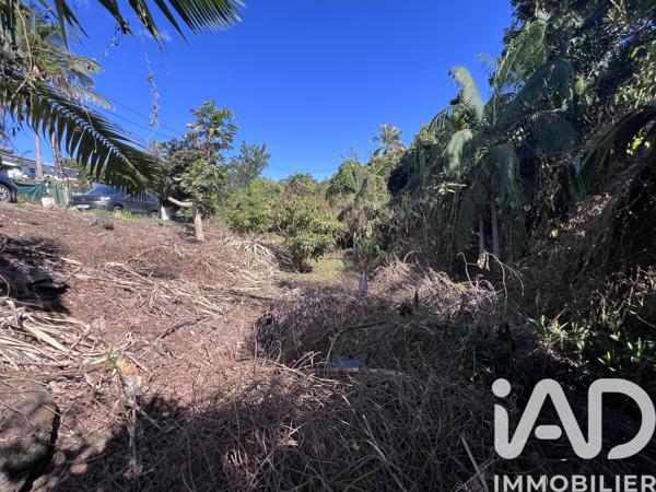 Terrain à vendre 1 230 m² Le Tampon