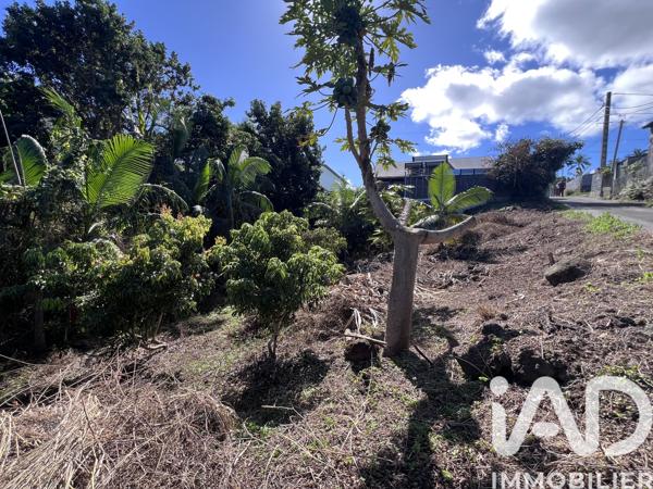 Terrain à vendre 1 230 m² Le Tampon