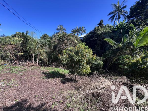 Terrain à vendre 1 230 m² Le Tampon