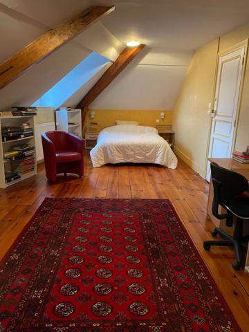 Maison de ville hyper centre Tarbes Brauhauban 5 chambres,260M2 habitables, garage, dépendances, jardin 655M2.