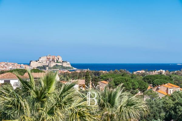 Calvi, Villa 6 Chambres -  317 m² à vendre