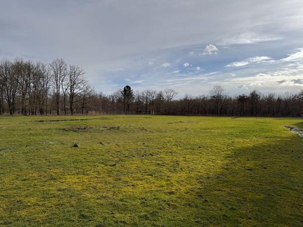 Maison Villefranche Sur Cher 117 m2