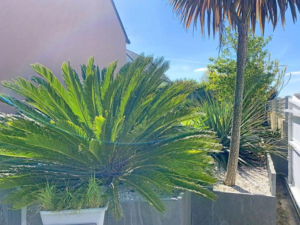 Concarneau Maison 133 m² - Plain pied -Jardin 712 m² DPE A - Calme - Proche mer