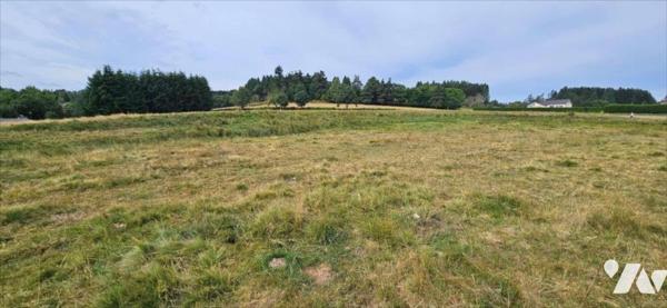 Terrain à lotir - 9 lots - programme OAP