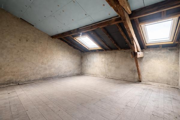 Nancy (54000) Magnifique maison de centre-ville -Rue de Messier - avec jardin 200 m2