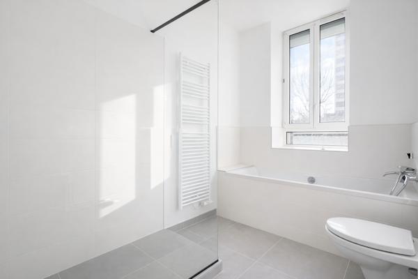 Nancy (54000) Magnifique maison de centre-ville -Rue de Messier - avec jardin 200 m2