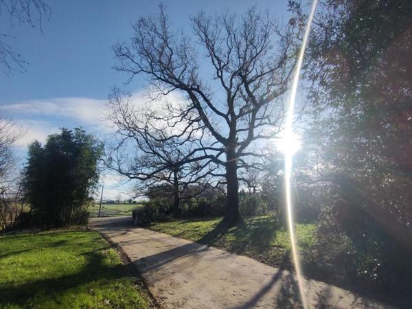 ARRADON Maison 6 pièces 127 m²