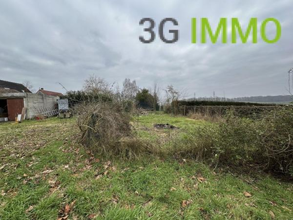 Vente / Maison et grand terrain