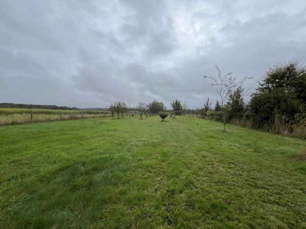 À vendre - Terrain projet construction 1738 m² situé à Nouzilly (37380)