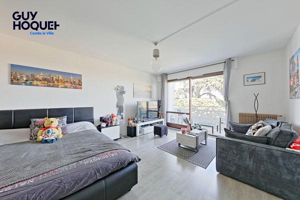À vendre : studio à Combs-la-Ville avec terrasse, place de parking et cave