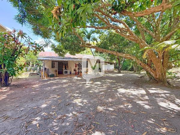 DPT GUYANE, à vendre CAYENNE ensemble immobilier sur un terrain de 1 604 m2