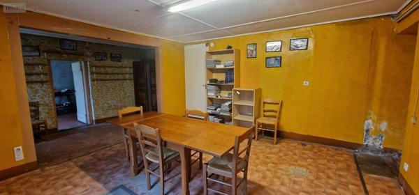 Maison à vendre à Louhans en Saône-et-Loire (71500), ref : BR-BA