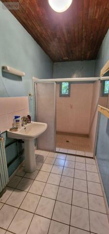 Maison à vendre à Louhans en Saône-et-Loire (71500), ref : BR-BA