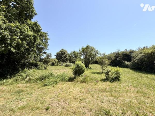 Maison - Beaux volumes et Parc - PORNIC