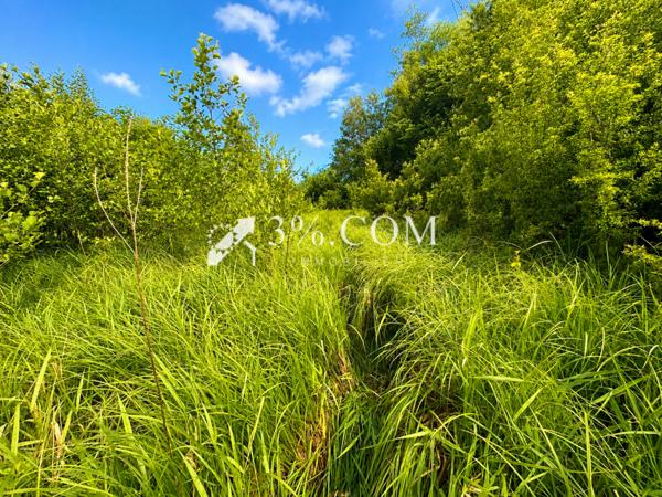 Terrain agricole