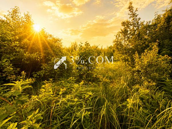 Terrain agricole