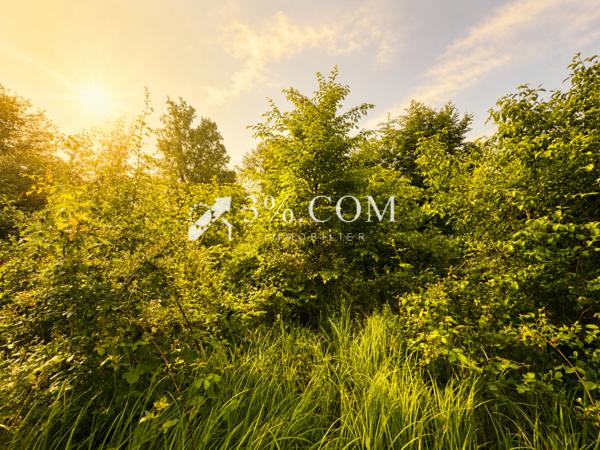 Terrain agricole