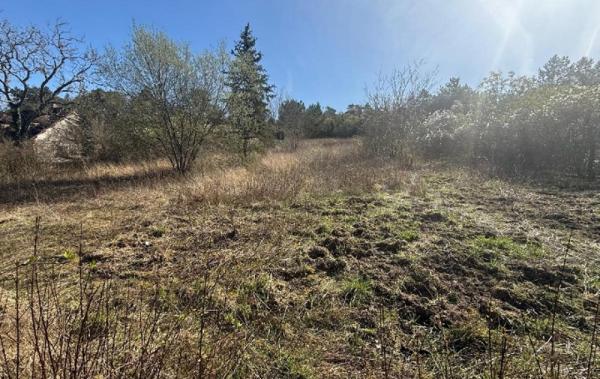 Vente Terrain Pont-sur-yonne   