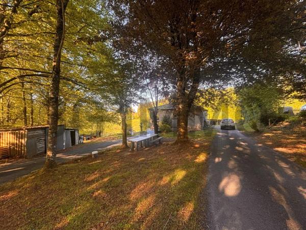 Vente / Maison à Boissezon (81490)