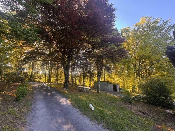 Vente / Maison à Boissezon (81490)