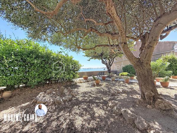 Perchée à Bouzigues, cette maison vigneronne de caractère d'environ 165 m² habitables vous offre l'une des plus belles vues du village : un panorama imprenable à 180° sur le Bassin de Thau, où le temps semble suspendre son cours face à l'horizon.

Dès l'entrée, un vaste espace d'environ 120 m² au rez-de-chaussée, aujourd'hui dédié au garage et au rangement, offre un potentiel remarquable pour organiser vos volumes selon vos envies et vos projets. Ce niveau donne un accès direct au jardin et à sa vue imprenable, prolongeant naturellement la projection futur vers l'extérieur.

À l'étage, la maison prend tout son sens : un séjour et une cuisine, quatre chambres confortables, ainsi que plusieurs espaces extérieurs où le regard porte sans obstacle jusqu'au Bassin. Un cadre rare, pensé pour profiter pleinement du site.

Le dernier niveau propose une pièce supplémentaire ainsi que des combles, totalisant environ 66 m², une belle réserve de possibilités pour agrandir les espaces de vie ou aménager selon vos besoins.

Cette maison nécessite des travaux de rénovation, mais son cadre exceptionnel, son fort caractère architectural et son jardin calme où l'on aime s'arrêter pour contempler l'horizon séduiront les amateurs de biens atypiques prêts à se laisser porter par le charme du lieu. Vue imprenable sur le Bassin de Thau, fort potentiel de rénovation, calme absolu et authenticité d'une véritable maison vigneronne : cette propriété réunit tous les ingrédients d'une opportunité rare, parmi les plus belles vues de Bouzigues.

À découvrir sans tarder !