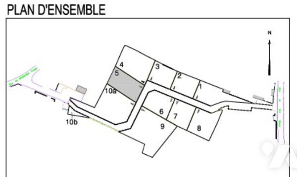 Terrain