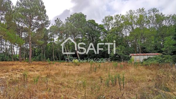 Rare sur Saint- Aubin-du-Médoc