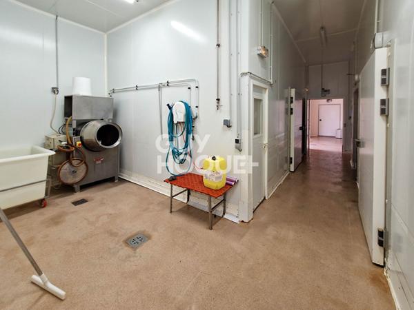 Local commercial Ucciani 567 m²