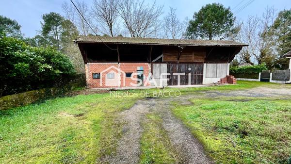 Special Artisants ou investisseurs