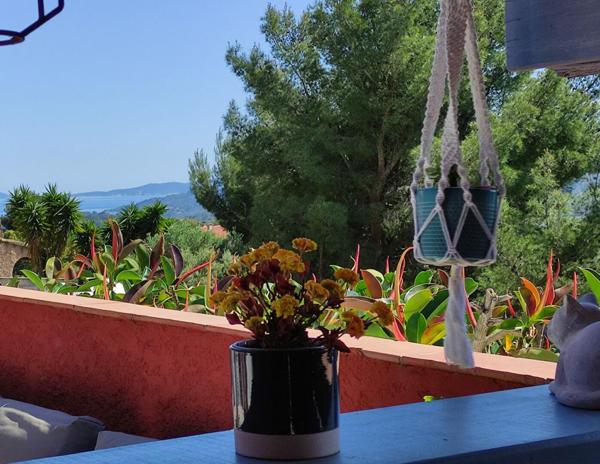 Superbe  Propriété/Gite 16 pièces 360 m2 piscine garages parkings à 2 pas du Lavandou