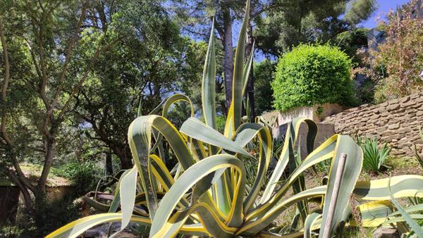 Superbe  Propriété/Gite 16 pièces 360 m2 piscine garages parkings à 2 pas du Lavandou