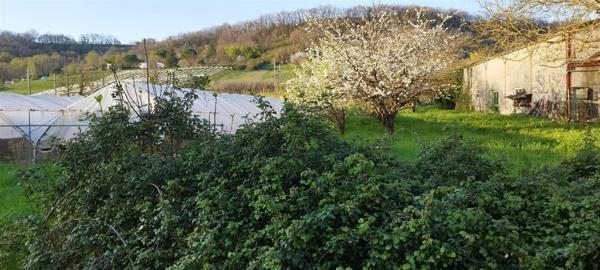 MAISON EN PIERRE A RÉNOVER AVEC JARDIN