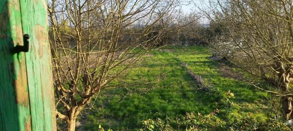 MAISON EN PIERRE A RÉNOVER AVEC JARDIN