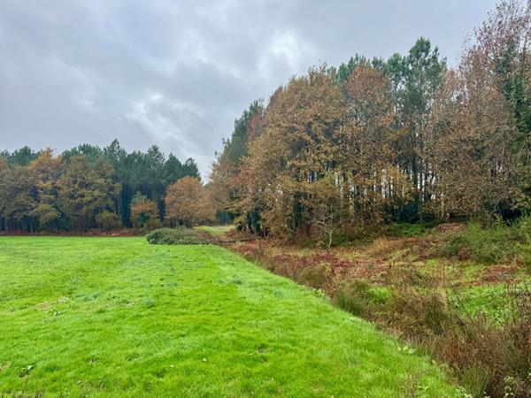 Azur Maison de 163 m² avec dépendance, piscine et vue forêt